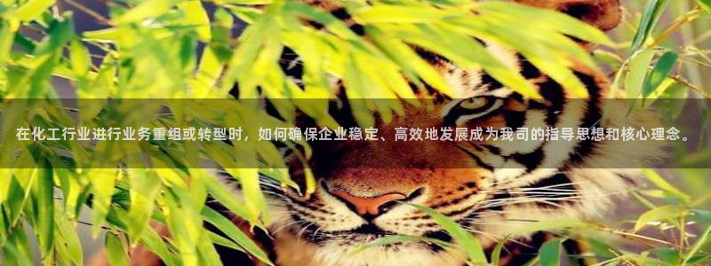 球盟会app最新地址下载：在化工行业进行业务重组或转型时，如