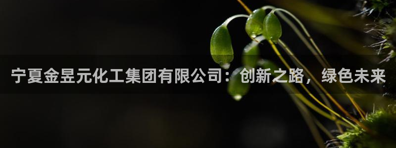 球盟会手机网页版：宁夏金昱元化工集团有限公司：创新之路，绿色