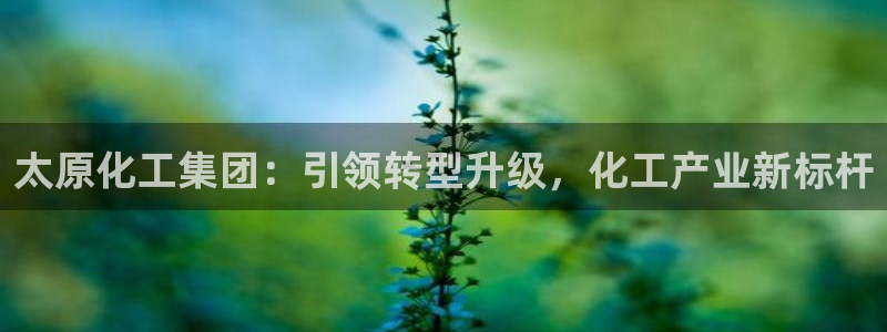 球盟会app网址多少