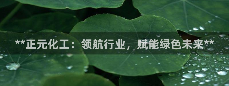 球盟会官网入口