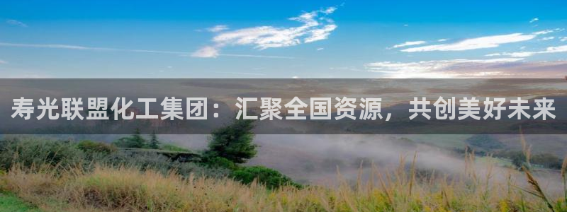 球盟会黑钱：寿光联盟化工集团：汇聚全国资源，共创美好未来