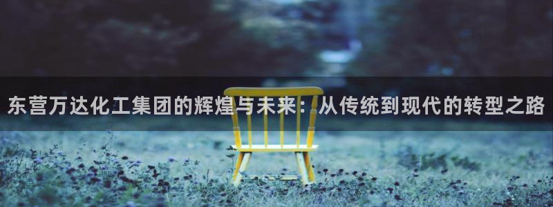 球盟会APP下载：东营万达化工集团的辉煌与未来：从传统到现代