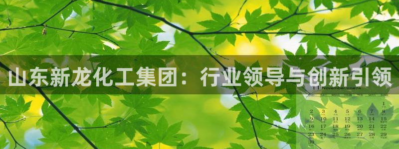球盟会用的客服聊天是哪个软件：山东新龙化