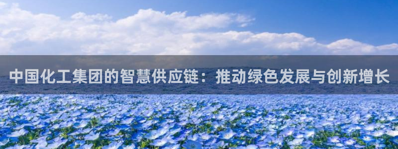 球盟会中国网页登录：中国化工集团的智慧供