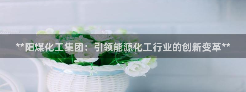 球盟会最新：**阳煤化工集团：引领能源化工行业的创新变革**