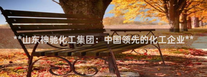 球盟会官方登录平台：**山东神驰化工集团：中国领先的化工企业