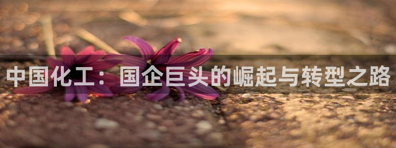 球盟会黑款吗知乎