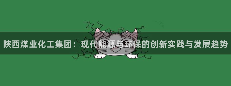 球盟会(中国)官方网站：陕西煤业化工集团：现代能源与环保的创