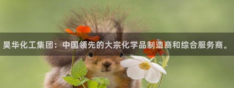 球盟会app网址多少：昊华化工集团：中国领先的大宗化学品制造