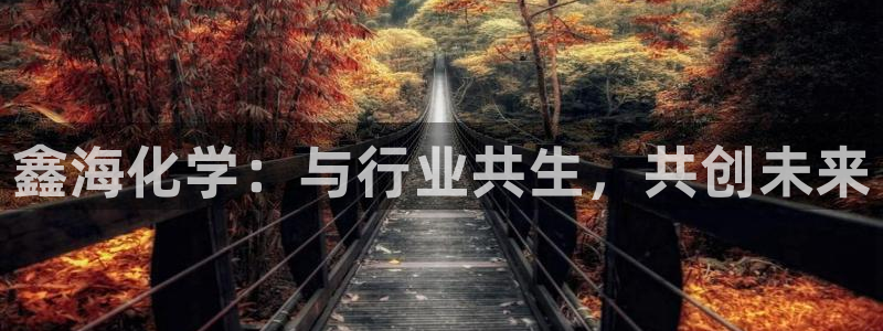 球盟会优惠码：鑫海化学：与行业共生，共创未来