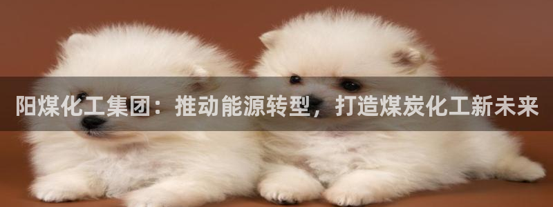 球盟会下款快吗