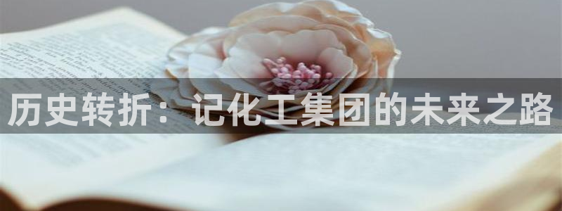 球盟会最新网：历史转折：记化工集团的未来之路