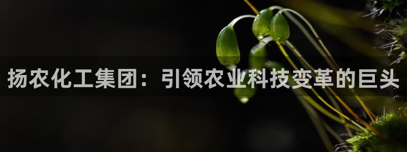 球盟会网址qm9 - 球盟会qmh网页版登录