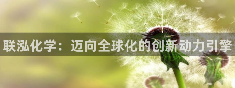 球盟会黑款吗是真的吗：联泓化学：迈向全球化的创新动力引擎