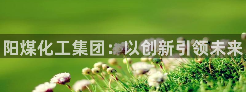 球盟会进不去吗：阳煤化工集团：以创新引领未来