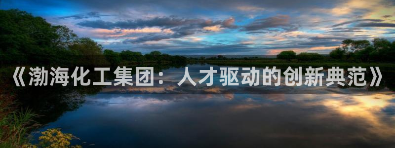 球盟会福利码2023最简单三个步骤：《渤海化工集团：人才驱动