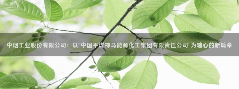 球盟会最新网：中烟工业股份有限公司：以\