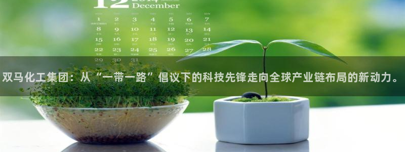 球盟会有没有黑单的球员：双马化工集团：从“一带一路”倡议下的