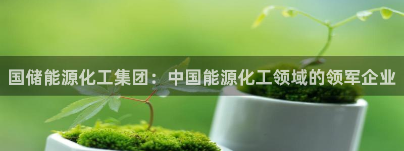 球盟会app：国储能源化工集团：中国能源化工领域的领军企业
