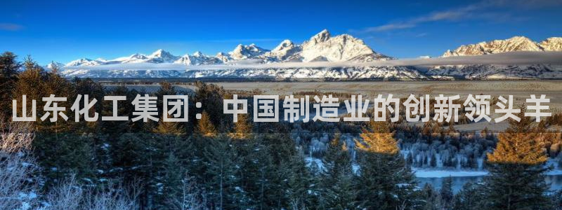 球盟会app手机登录：山东化工集团：中国制造业的创新领头羊