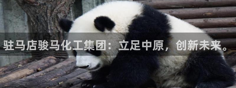 球盟会网页登录app下载地址：驻马店骏马化工集团：立足中原，