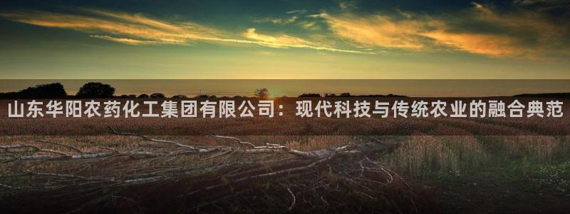 球盟会官方登录平台入口：山东华阳农药化工集团有限公司：现代科