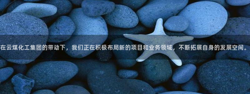 球盟会头号玩家：在云煤化工集团的带动下，我们正在积极布局新的