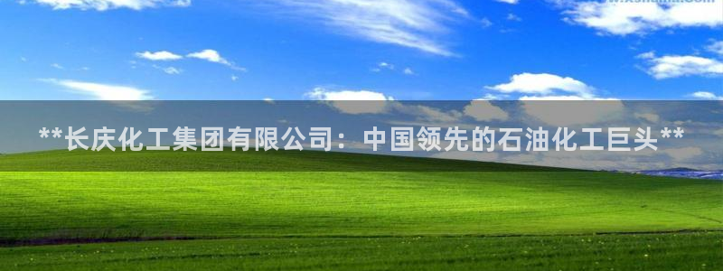球盟会官网登录入口：**长庆化工集团有限公司：中国领先的石油