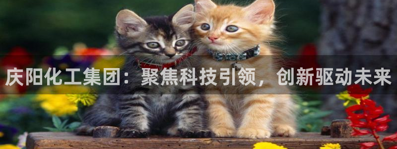 球盟会可以提现么：庆阳化工集团：聚焦科技引领，创新驱动未来