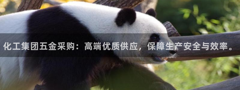 球盟会最新网：化工集团五金采购：高端优质供应，保障生产安全与