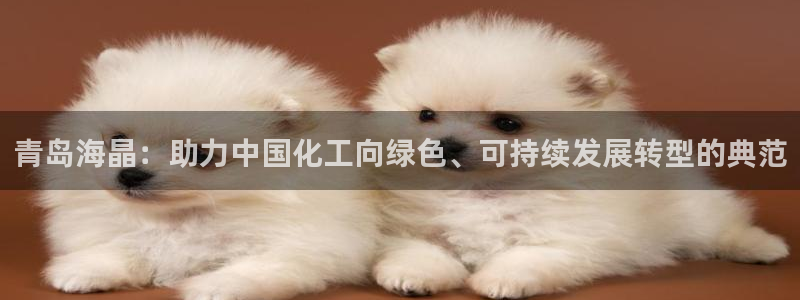球盟会登录入口：青岛海晶：助力中国化工向绿色、可持续发展转型