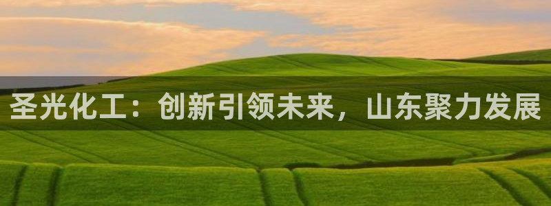 球盟会网页登录app下载地址：圣光化工：创新引领未来，山东聚