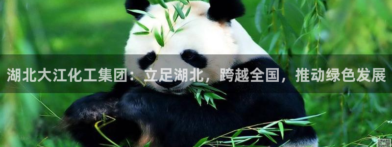 球盟会APP最新地址：湖北大江化工集团：立足湖北，跨越全国，