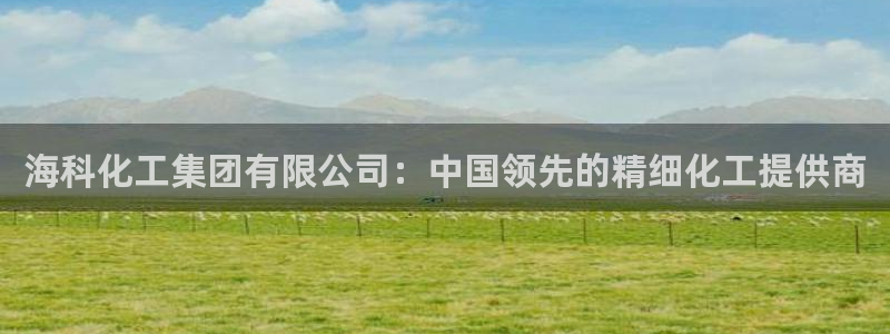 球盟会网页版：海科化工集团有限公司：中国领先的精细化工提供商