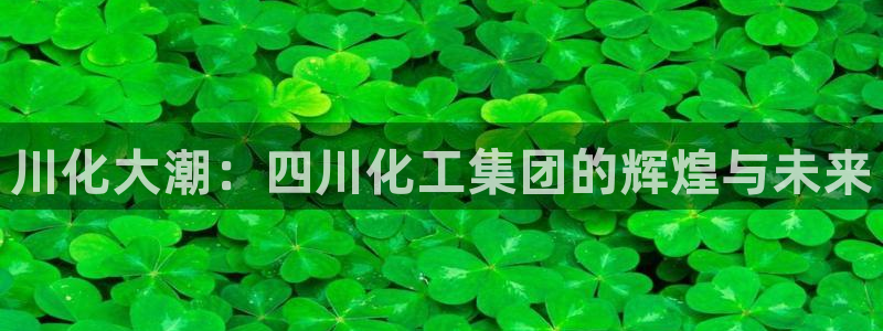 球盟会官方网站入口：川化大潮：四川化工集团的辉煌与未来