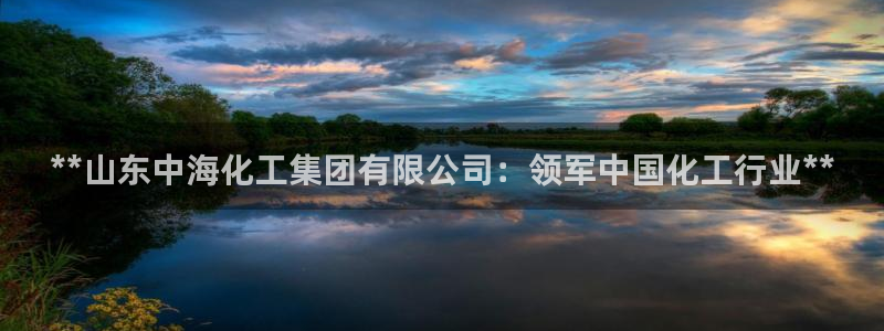 球盟会app最新地址在哪找：**山东中海化工集团有限公司：领