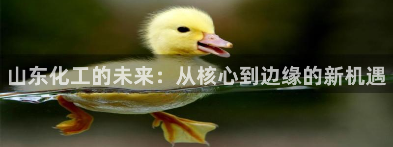 球盟会类似的网站：山东化工的未来：从核心到边缘的新机遇