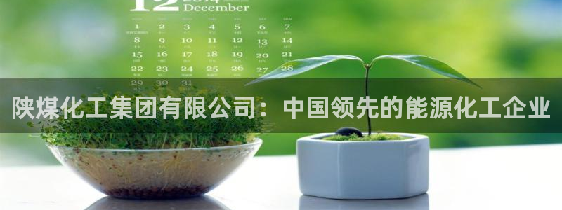 球盟会电子游戏平台：陕煤化工集团有限公司：中国领先的能源化工