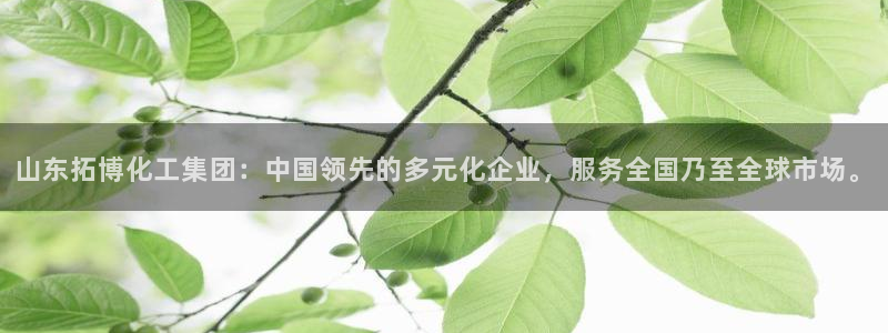 球盟会能退钱吗现在：山东拓博化工集团：中