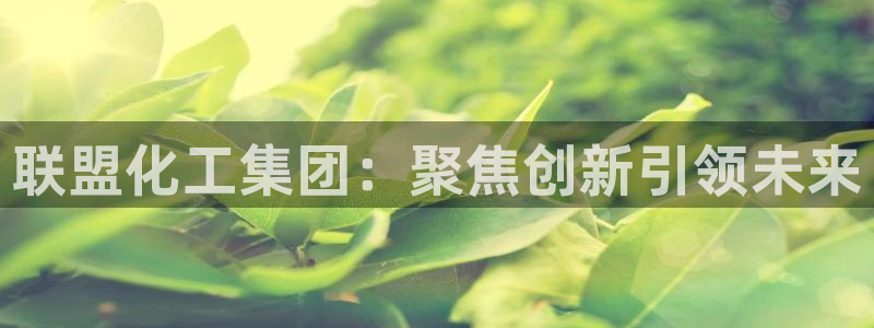 球盟会中国官方网站：联盟化工集团：聚焦创