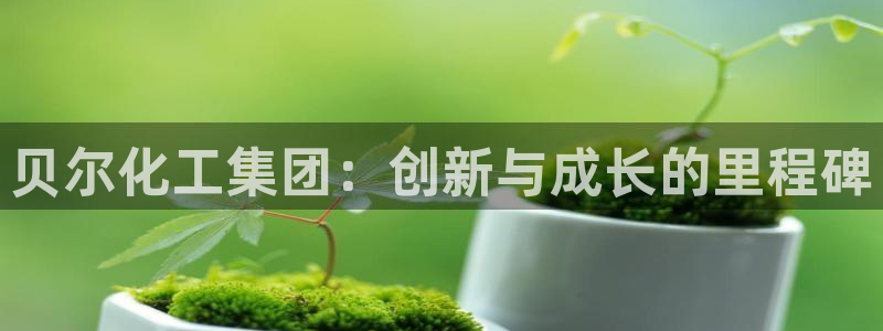 球盟会qm：贝尔化工集团：创新与成长的里