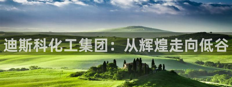 球盟会下款快吗：迪斯科化工集团：从辉煌走向低谷