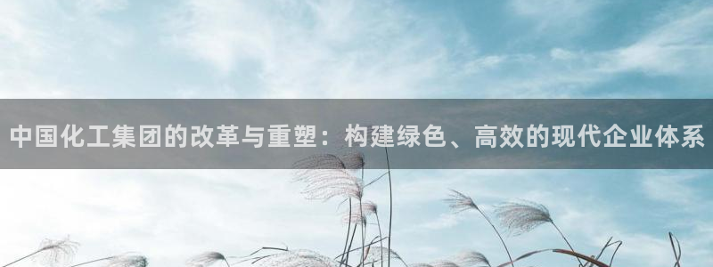 球盟会乐虎：中国化工集团的改革与重塑：构建绿色、高效的现代企