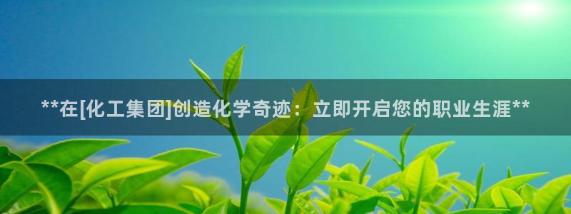 球盟会黑平台：**在[化工集团]创造化学